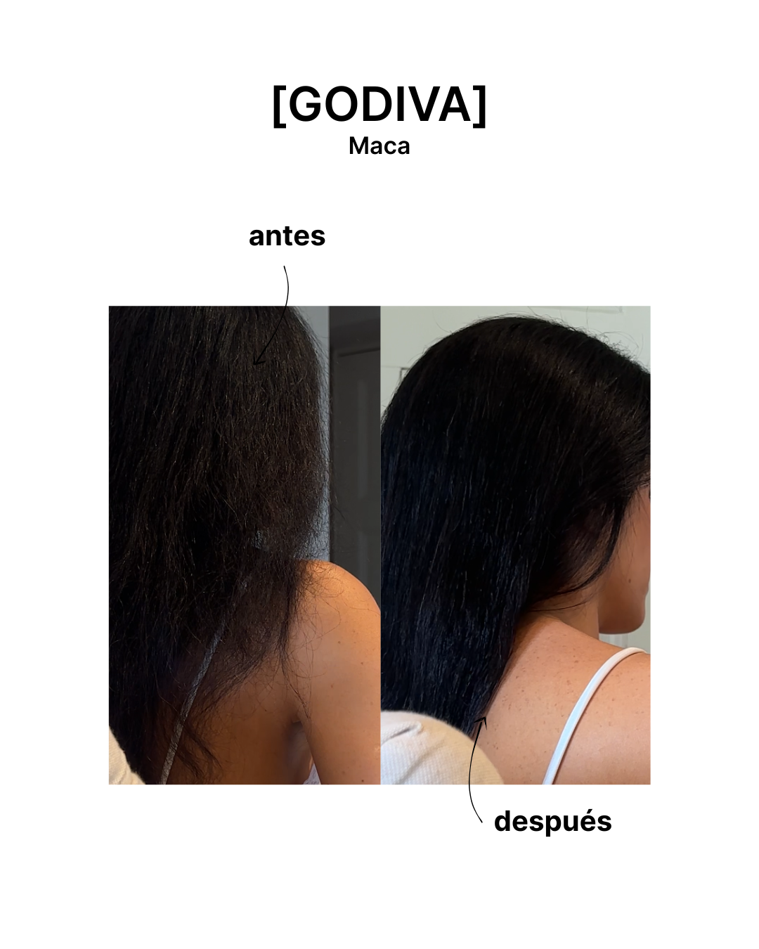 GODIVA serum nutritivo [30ml]